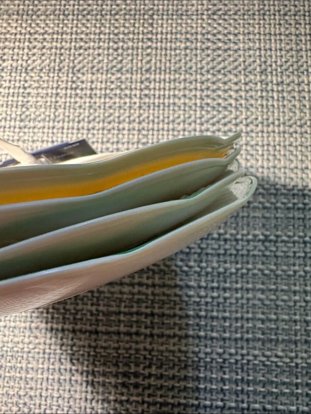 Roller Rabbit Green-Trim Citrus Scalloped Plate limited edition 4